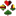 wattkarten.org