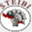 steibi.org.py