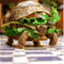 turtlemeng.wordpress.com