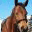 birgesdal.se