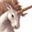 unicorn-project.gr