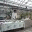 backvries.wordpress.com