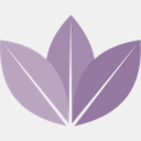 orchidthaimassage.co.uk