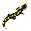 fgimport.com