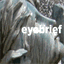 eyebrief.com