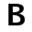 bitwiser.in