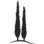 pointbart.com