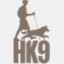 hk9.ae