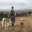 ebdogpack.wordpress.com