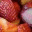 cookerybookery.wordpress.com