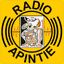 m.apintie.sr