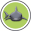 sharkinstruments.com