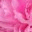 brontebailey.wordpress.com