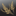 devduttexpo.com