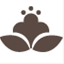 winiebee.com