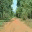 runningfrombuffalo.com