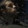 authenticrevelations.wordpress.com