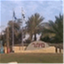 toshavim.com