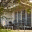 kranichundzingst.wordpress.com