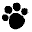 digipaw.com