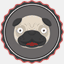 pugaday.co