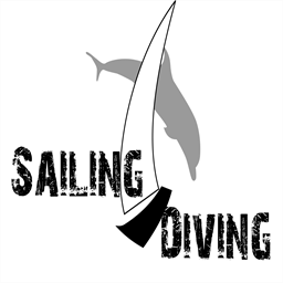 sailingdivingibizabcn.com