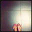 onepicperday.me