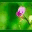 ghassfool.wordpress.com