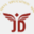 jankidevi.org