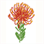 flowervalley.org.za