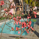 etonseprendlamain.over-blog.com