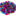 bcell.org