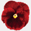 cpwebpage.com