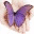 transformingourcommunities.wordpress.com