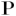 paganosystem.com