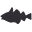 codfishshop.com