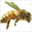 isidorescorner.typepad.com