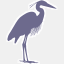 heron.nhs.uk