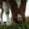 barrowsfarm.wordpress.com