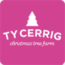 tycerrigchristmastrees.co.uk