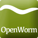 blog.openworm.org