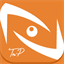 tnpvisualworkplace.com