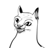 kankerenkinderwens.net