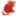 dsoffice.net.au