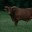 buckingbulls.wordpress.com