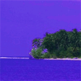 blueiguanaproductions.com