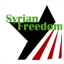 syrianfreedomls.tumblr.com