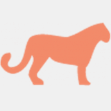 cirrusengineering.com