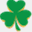 theshamrockshuffle.net