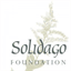 solidago.org